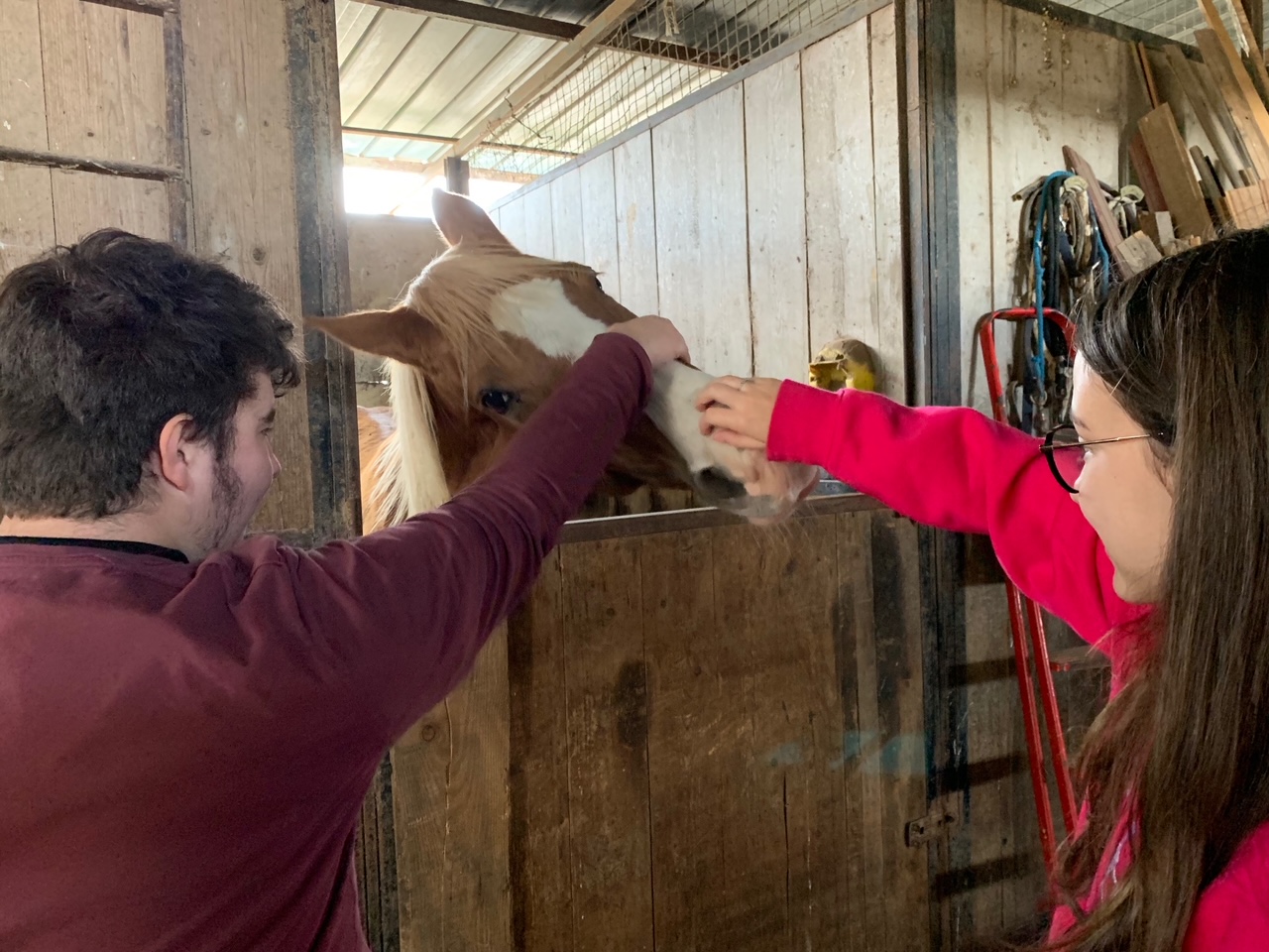 Gli Amici di Nanà – La Collina di EY Foundation Onlus Gli Amici di Nanà – La Collina-EY Foundation Onlus