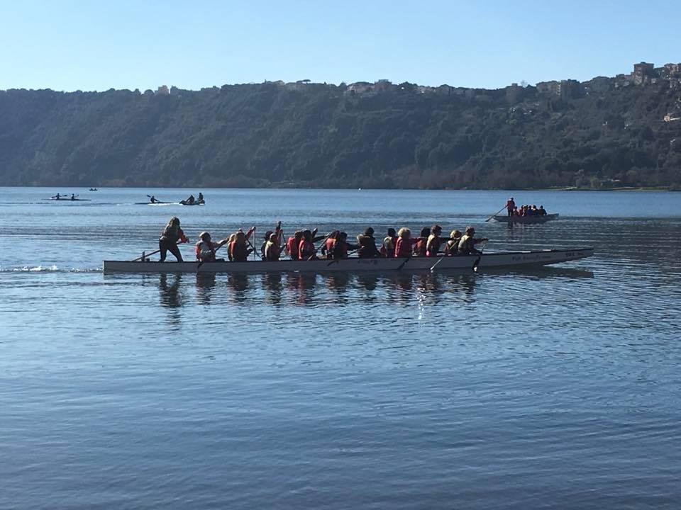 Un container tutto rosa di Pagaie Rosa Un container tutto rosa-Pagaie Rosa