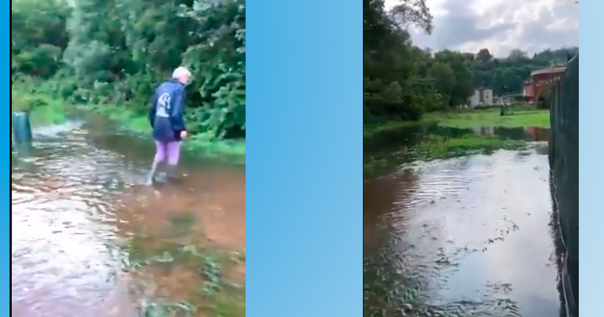 CANILE IN LAGUNA di CANILE IN LAGUNA -