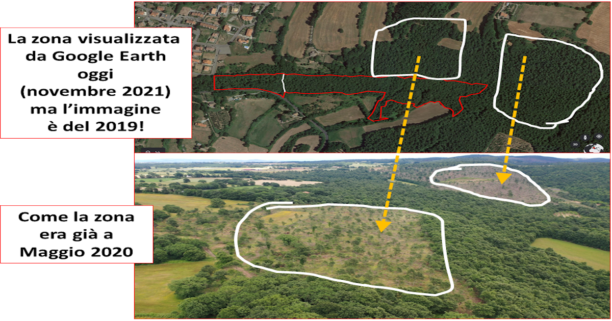 Espandiamo l'Oasi del Fondo Forestale di Fondo Forestale Italiano onlus Espandiamo l'Oasi del Fondo Forestale -Fondo Forestale Italiano onlus