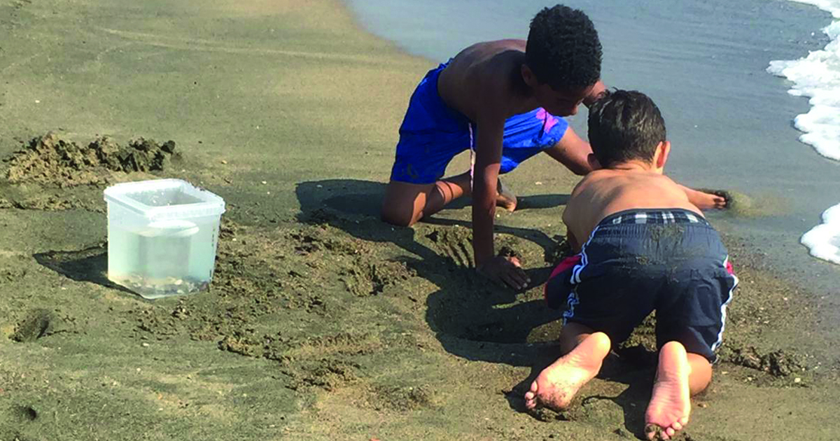 Vacanze formato casa-famiglia di Il Tetto Vacanze formato casa-famiglia-Il Tetto