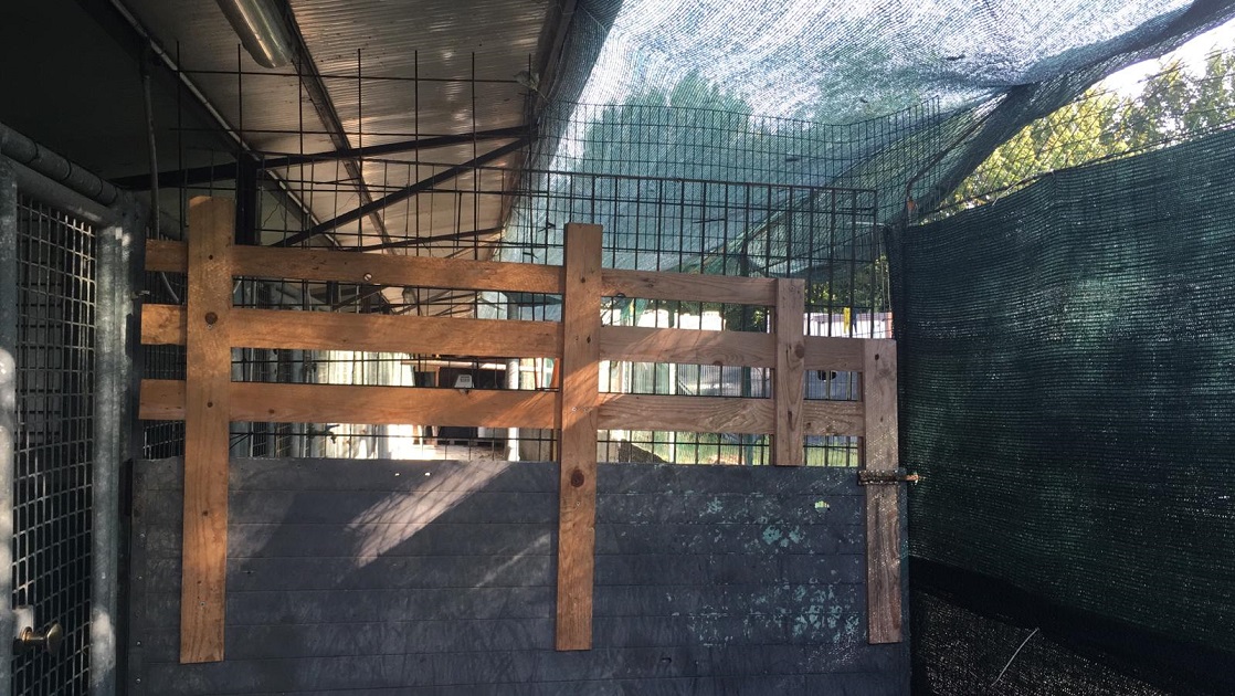 FACCIAMO RETE PER I CANI DEL CANILE VA di FACCIAMO RETE PER I CANI DEL CANILE VA -