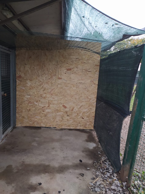 FACCIAMO RETE PER I CANI DEL CANILE VA di FACCIAMO RETE PER I CANI DEL CANILE VA -