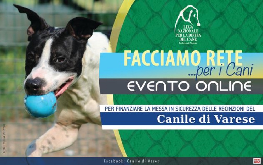 FACCIAMO RETE PER I CANI DEL CANILE VA di FACCIAMO RETE PER I CANI DEL CANILE VA -