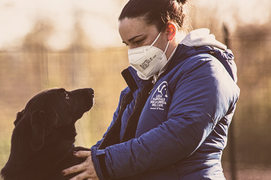 FACCIAMO RETE PER I CANI DEL CANILE VA di FACCIAMO RETE PER I CANI DEL CANILE VA -