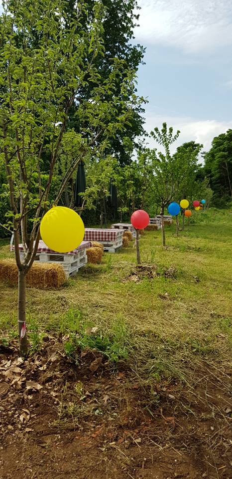 TUTTI GIU PER TERRA ALLA MILANO MARATHON di FONDAZIONE ALESSIO TAVECCHIO ONLUS TUTTI GIU PER TERRA ALLA MILANO MARATHON-FONDAZIONE ALESSIO TAVECCHIO ONLUS