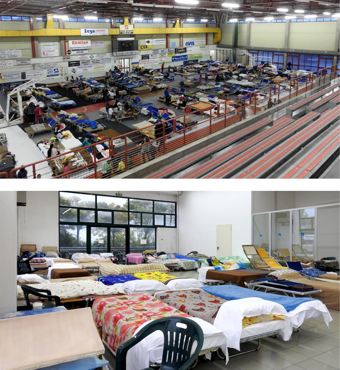 Tolentino:cronaca del terremoto infinito di Sportware Tolentino:cronaca del terremoto infinito-Sportware