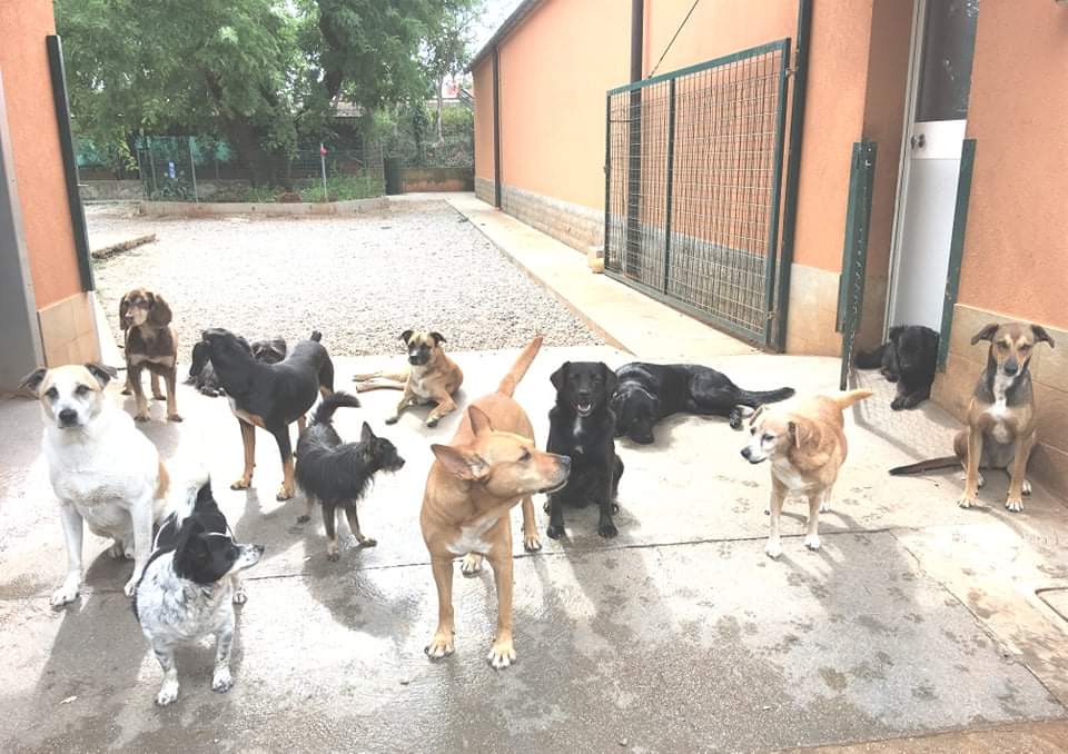 BAU VENTO ASTAD - Riscalda il loro cuore di Astad O.d.V. BAU VENTO ASTAD - Riscalda il loro cuore-Astad O.d.V.