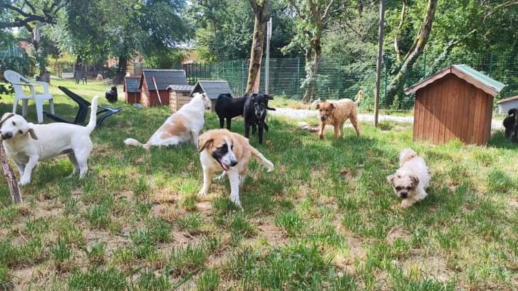 BAU VENTO ASTAD - Riscalda il loro cuore di Astad O.d.V. BAU VENTO ASTAD - Riscalda il loro cuore-Astad O.d.V.