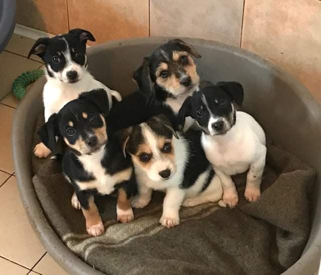 BAU VENTO ASTAD - Riscalda il loro cuore di Astad O.d.V. BAU VENTO ASTAD - Riscalda il loro cuore-Astad O.d.V.