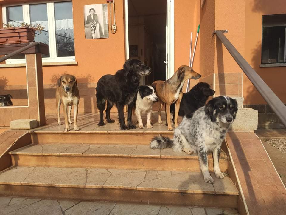 BAU VENTO ASTAD - Riscalda il loro cuore di Astad O.d.V. BAU VENTO ASTAD - Riscalda il loro cuore-Astad O.d.V.