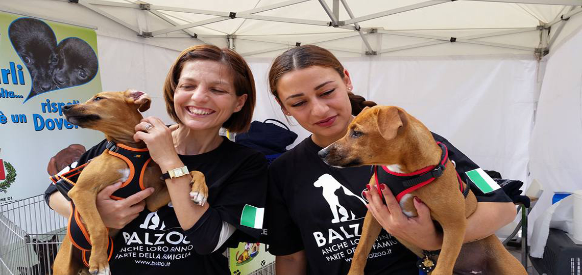 #RUNFORBALZOO - Protezione Animali di Balzoo Onlus #RUNFORBALZOO - Protezione Animali-Balzoo Onlus