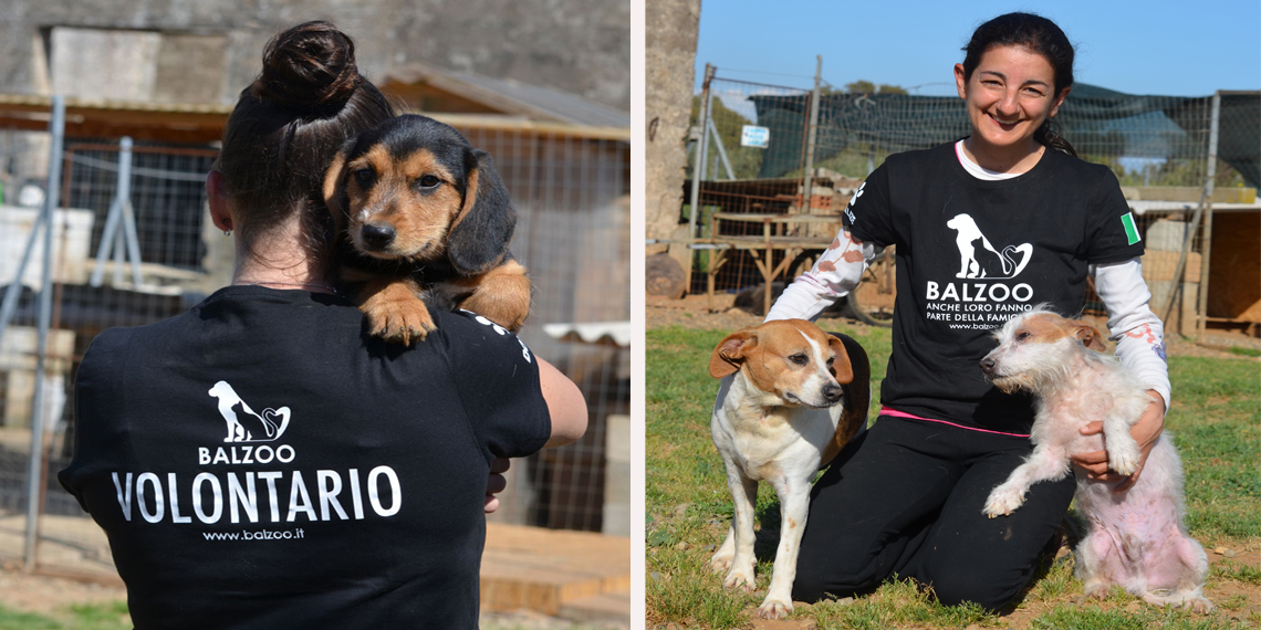 #RUNFORBALZOO - Protezione Animali di Balzoo Onlus #RUNFORBALZOO - Protezione Animali-Balzoo Onlus