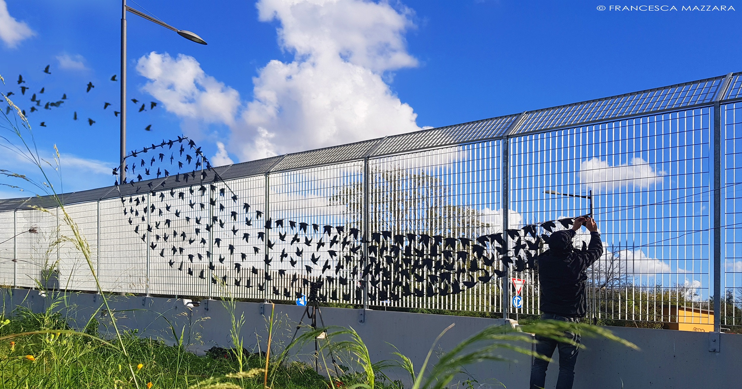 Baobab 4 Run - 7 aprile 2019 di Baobab Experience Baobab 4 Run - 7 aprile 2019-Baobab Experience