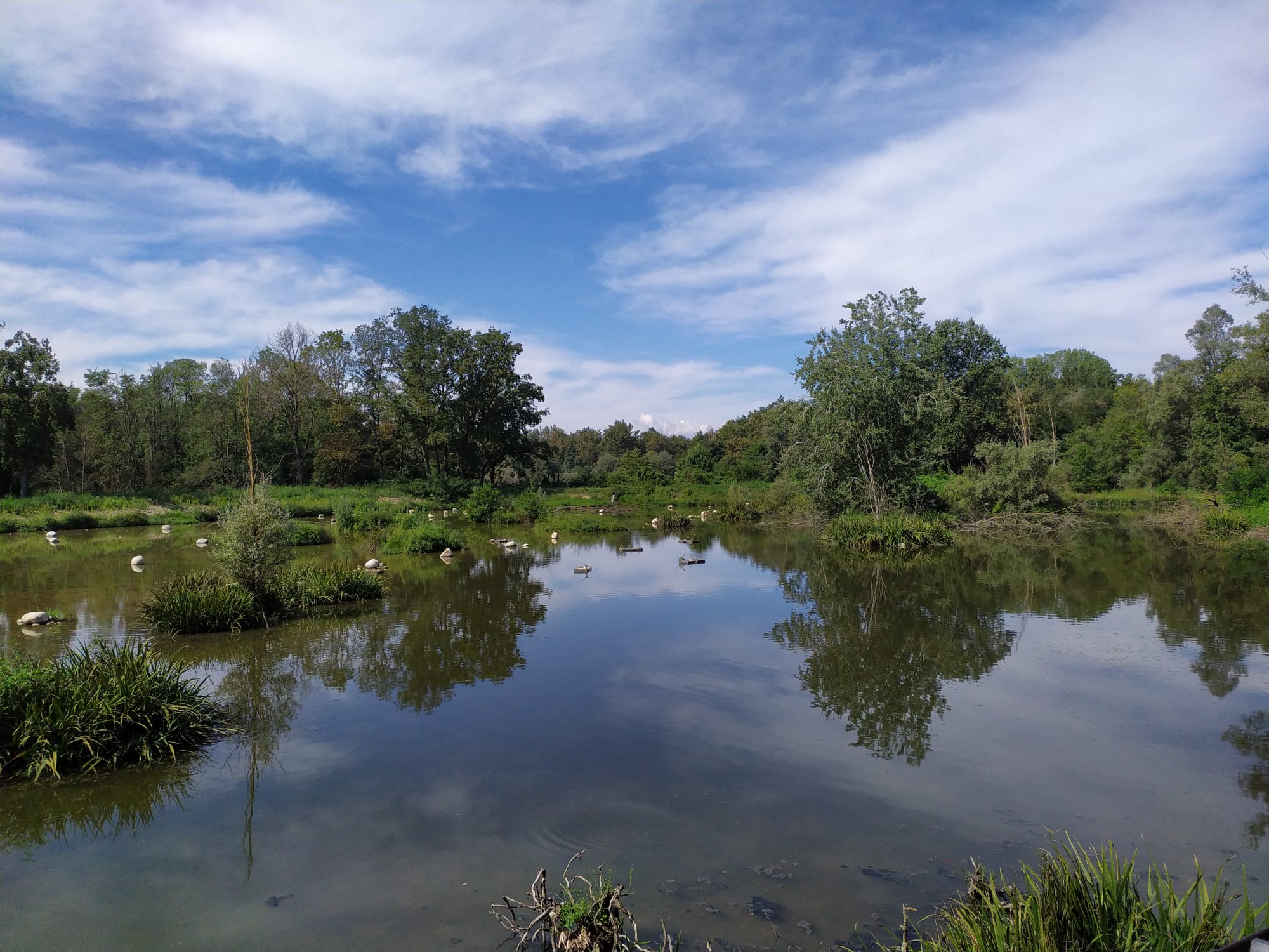 Uno sguardo sul Paradiso di Amici dell'Oasi Uno sguardo sul Paradiso-Amici dell'Oasi
