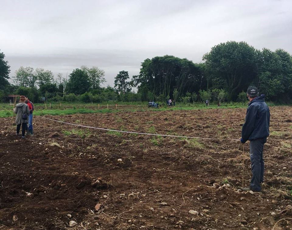 TUTTI GIU PER TERRA ALLA MILANO MARATHON di FONDAZIONE ALESSIO TAVECCHIO ONLUS TUTTI GIU PER TERRA ALLA MILANO MARATHON-FONDAZIONE ALESSIO TAVECCHIO ONLUS