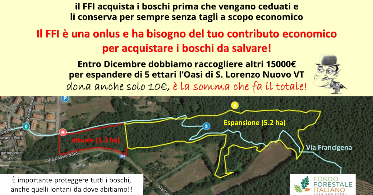 Espandiamo l'Oasi del Fondo Forestale di Fondo Forestale Italiano onlus Espandiamo l'Oasi del Fondo Forestale -Fondo Forestale Italiano onlus